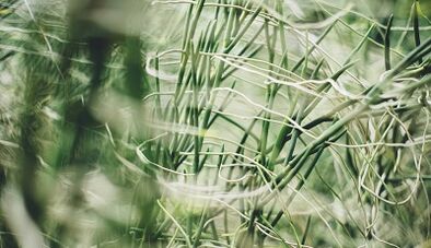 How to make a good luck charm with your own hands