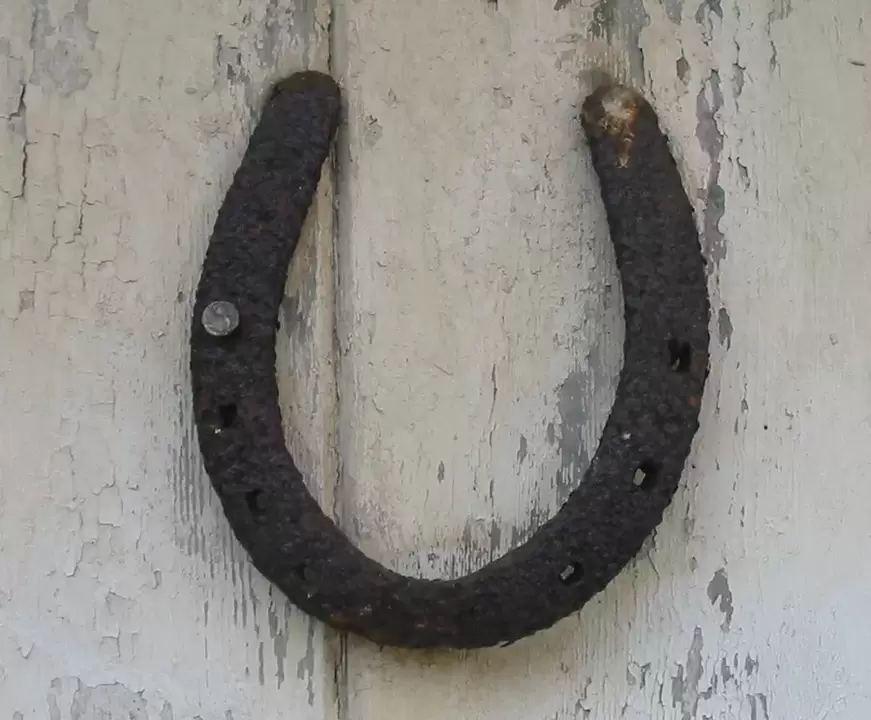 good luck charm - horseshoe