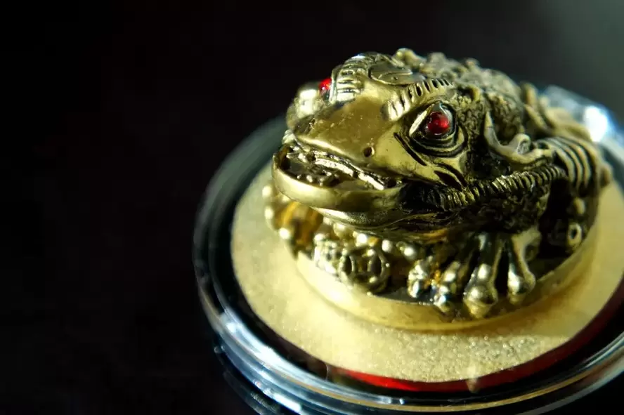 good luck charm - three legged frog